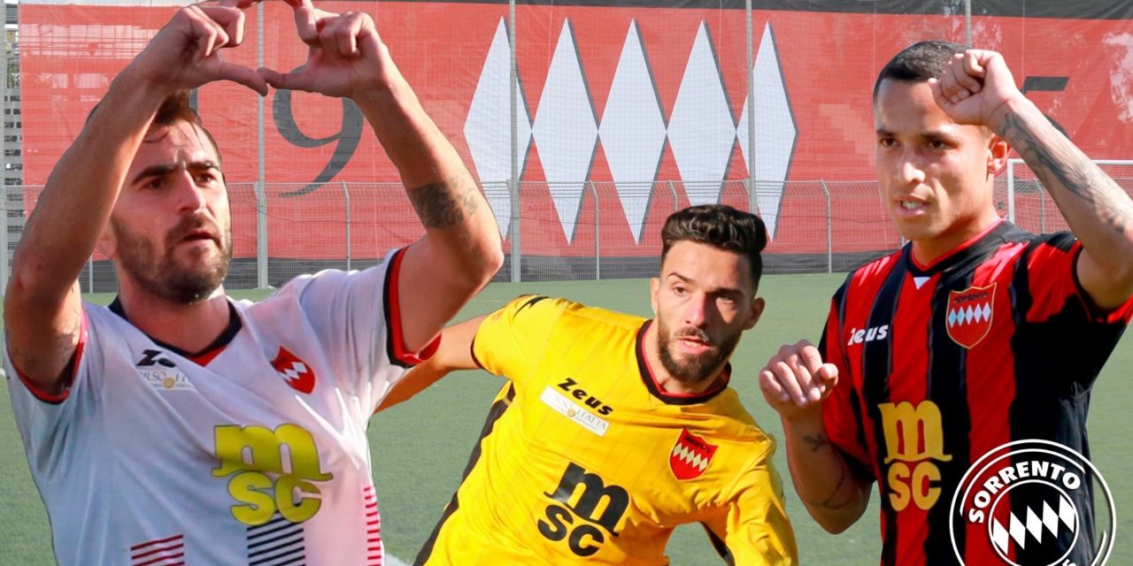 UFFICIALE | Serie D, Sorrento: primi 3 rinnovi