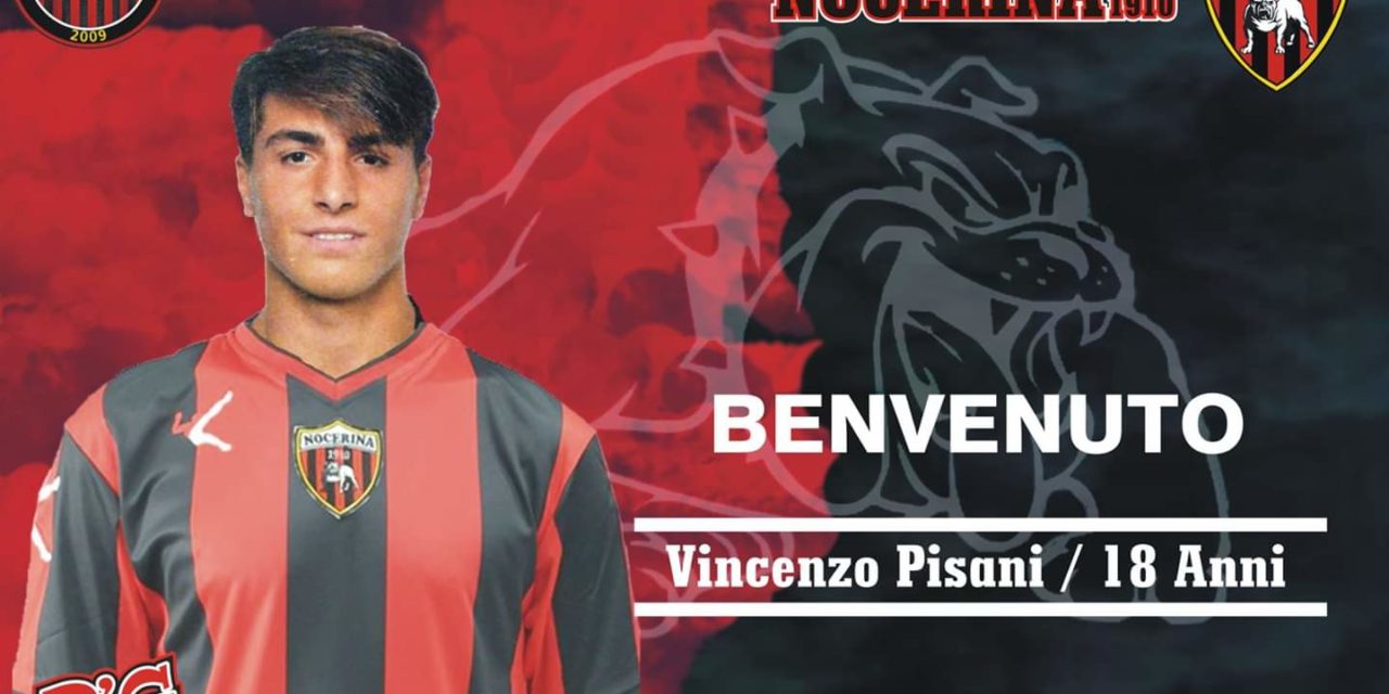 Un baby talento per la Nocerina: dallo Spezia arriva Pisani