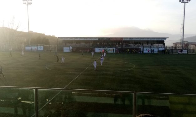 Serie D: una buona Gelbison ferma il Bitonto