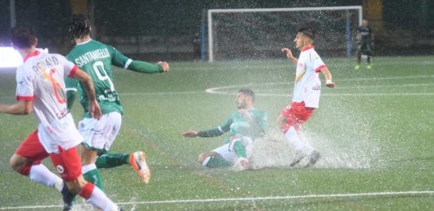 Clamoroso a Palermo, rinviata Palermo Turris!
