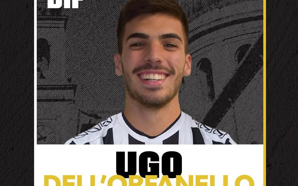 Nola scatenato sul mercato: tra conferme e nuovi volti, il club punta in alto